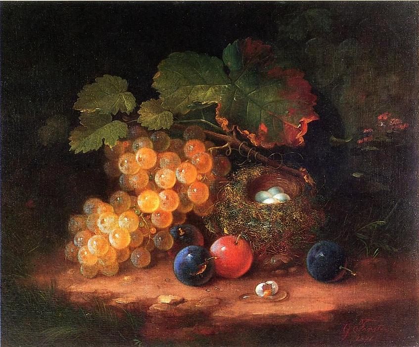 Wikioo.org - The Encyclopedia of Fine Arts - Painting, Artwork by George Forster - Still Life with Fruit, Bird's Nest and Broken Egg