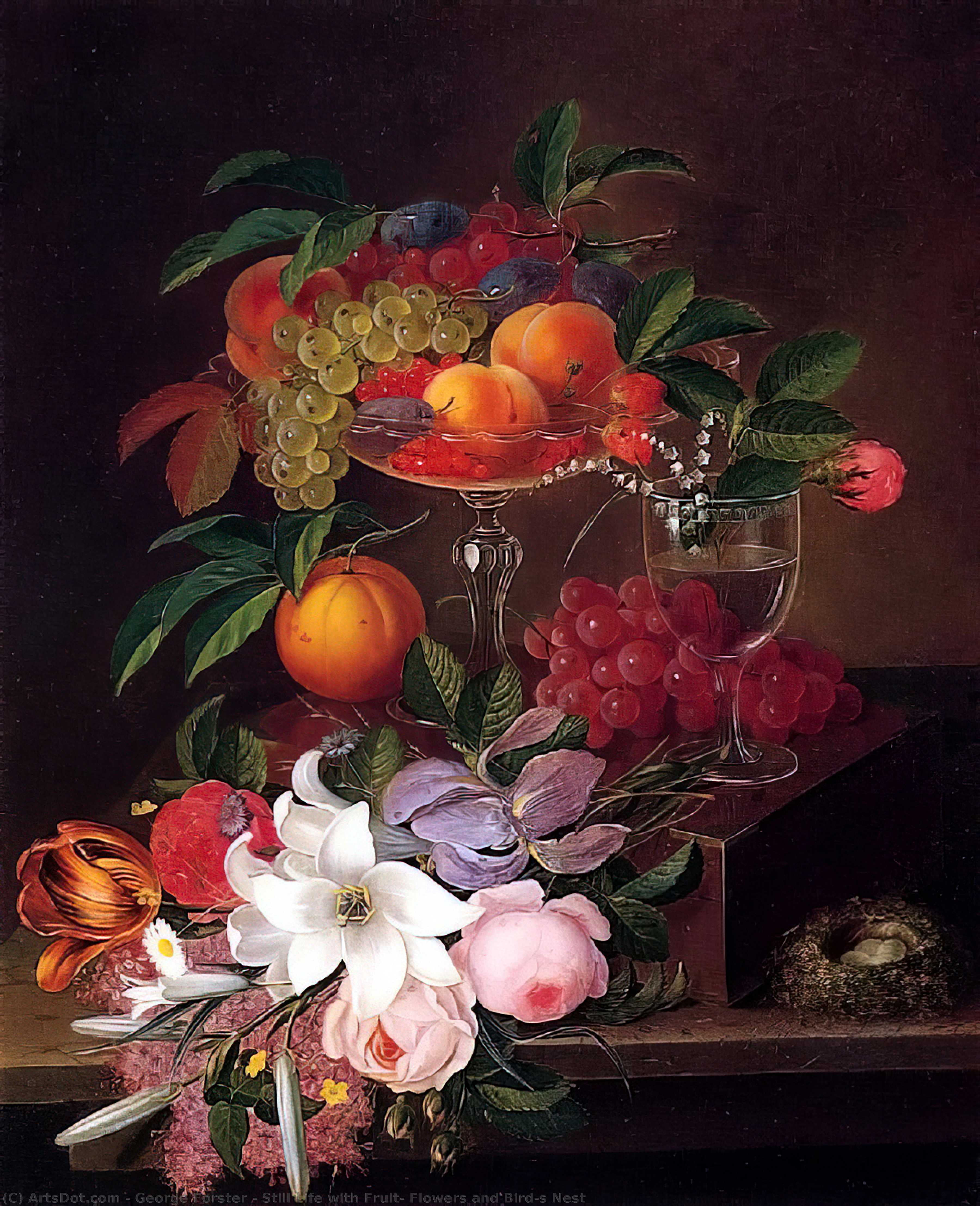 Wikioo.org - The Encyclopedia of Fine Arts - Painting, Artwork by George Forster - Still Life with Fruit, Flowers and Bird's Nest