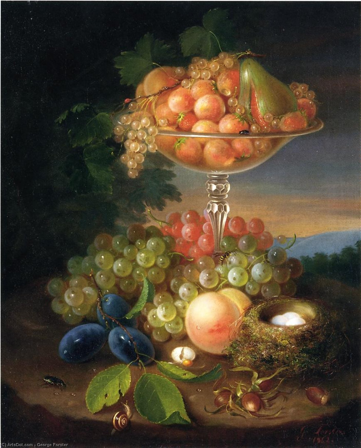 Wikioo.org - The Encyclopedia of Fine Arts - Painting, Artwork by George Forster - Still Life with Fruit, Nest of Eggs and Insects