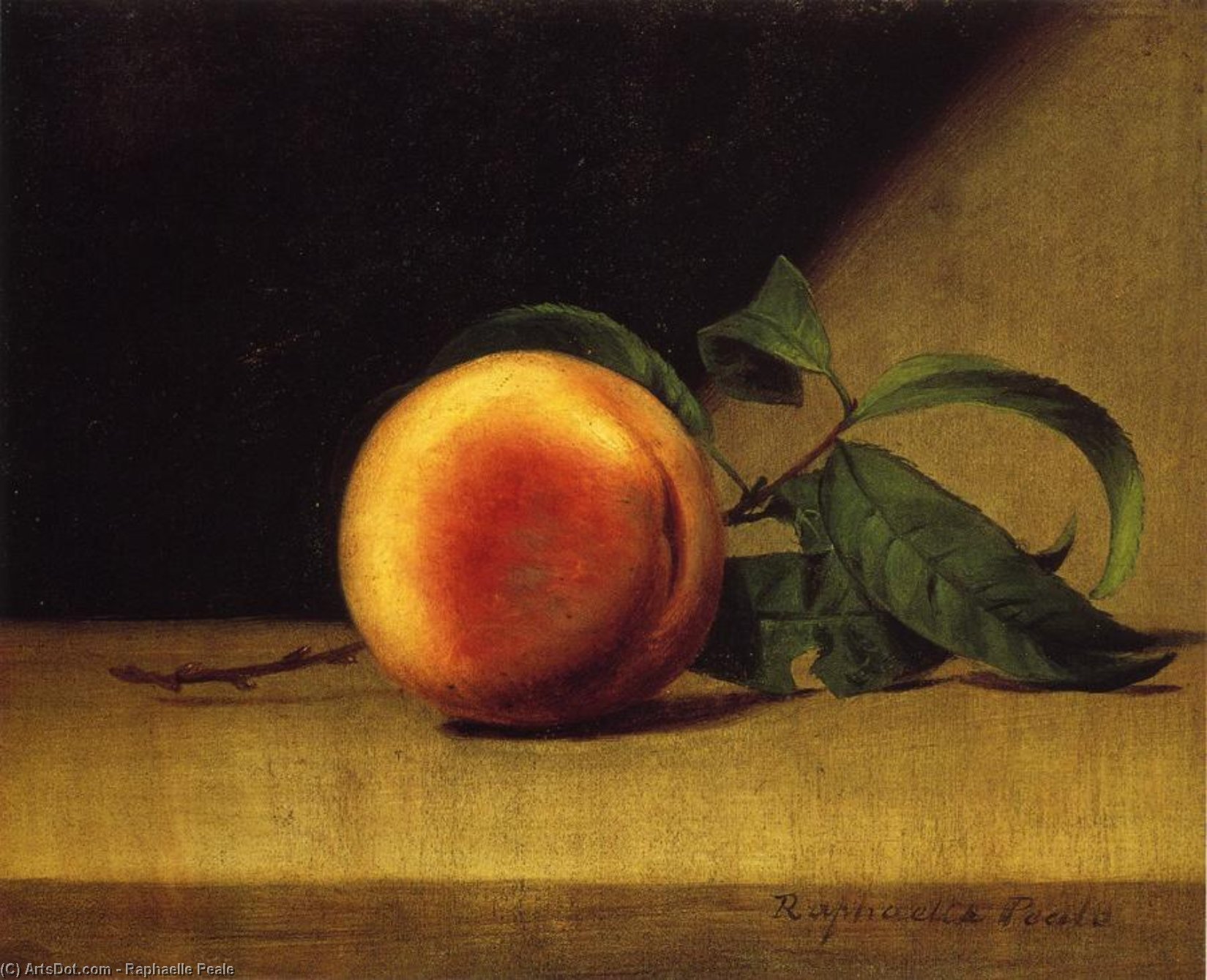 Wikioo.org - The Encyclopedia of Fine Arts - Painting, Artwork by Raphaelle Peale - Still Life with Peach