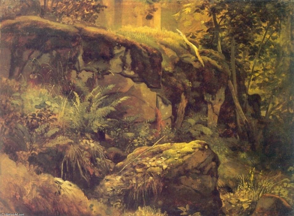 Wikioo.org - The Encyclopedia of Fine Arts - Painting, Artwork by Ivan Ivanovich Shishkin - Stones in the forest, Valaam (etude)