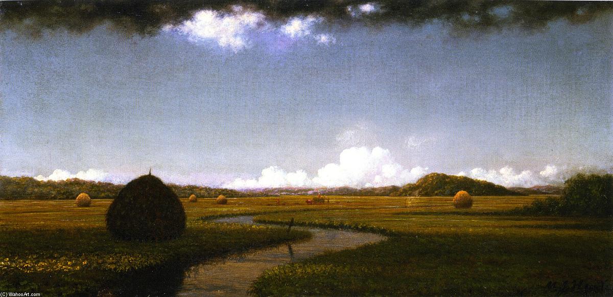 Wikoo.org - موسوعة الفنون الجميلة - اللوحة، العمل الفني Martin Johnson Heade - Storm Clouds over the Marshes