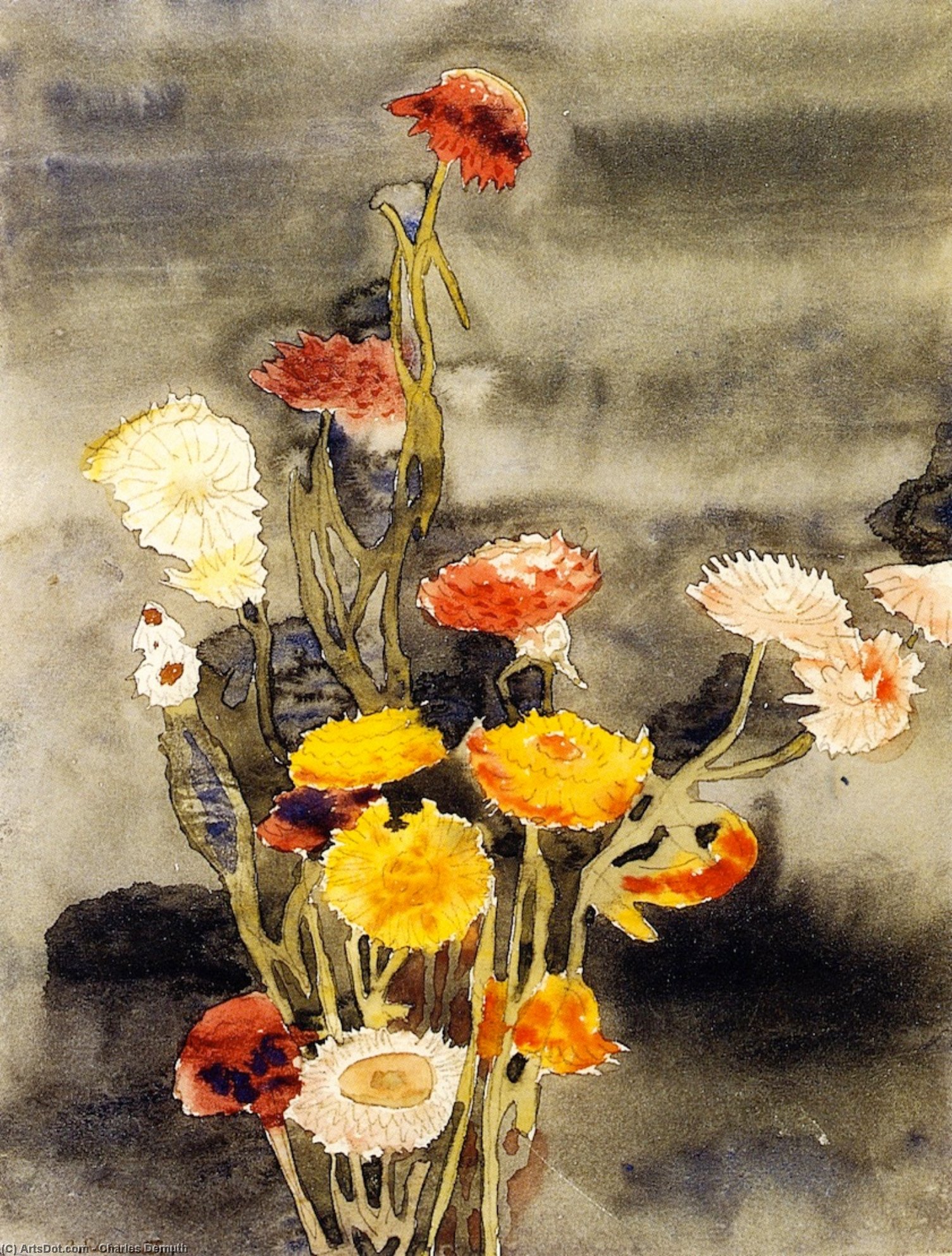 Wikoo.org - موسوعة الفنون الجميلة - اللوحة، العمل الفني Charles Demuth - Strawflowers (also known as Flowers #2)