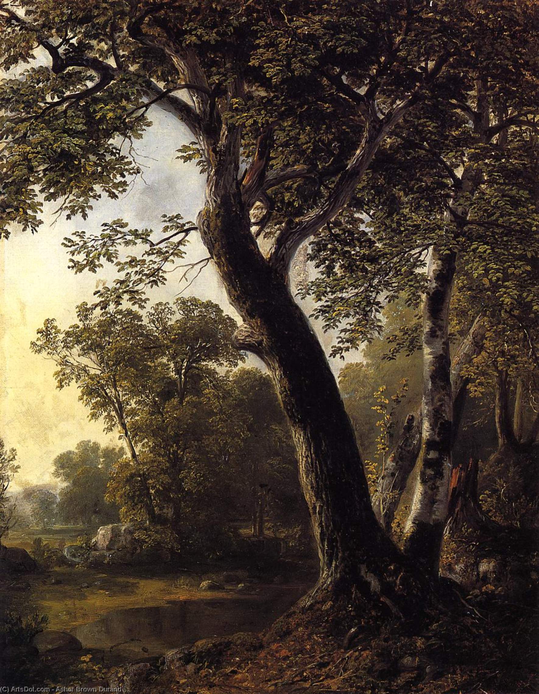 Wikioo.org - The Encyclopedia of Fine Arts - Painting, Artwork by Asher Brown Durand - Study at Marbletown, Ulster County