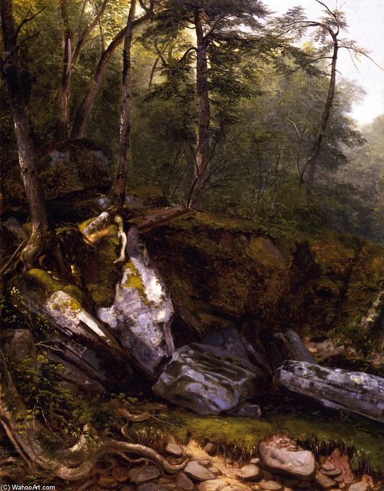 Wikioo.org - The Encyclopedia of Fine Arts - Painting, Artwork by Asher Brown Durand - Study from Nature: Rocks and Trees in the Catskills, New York