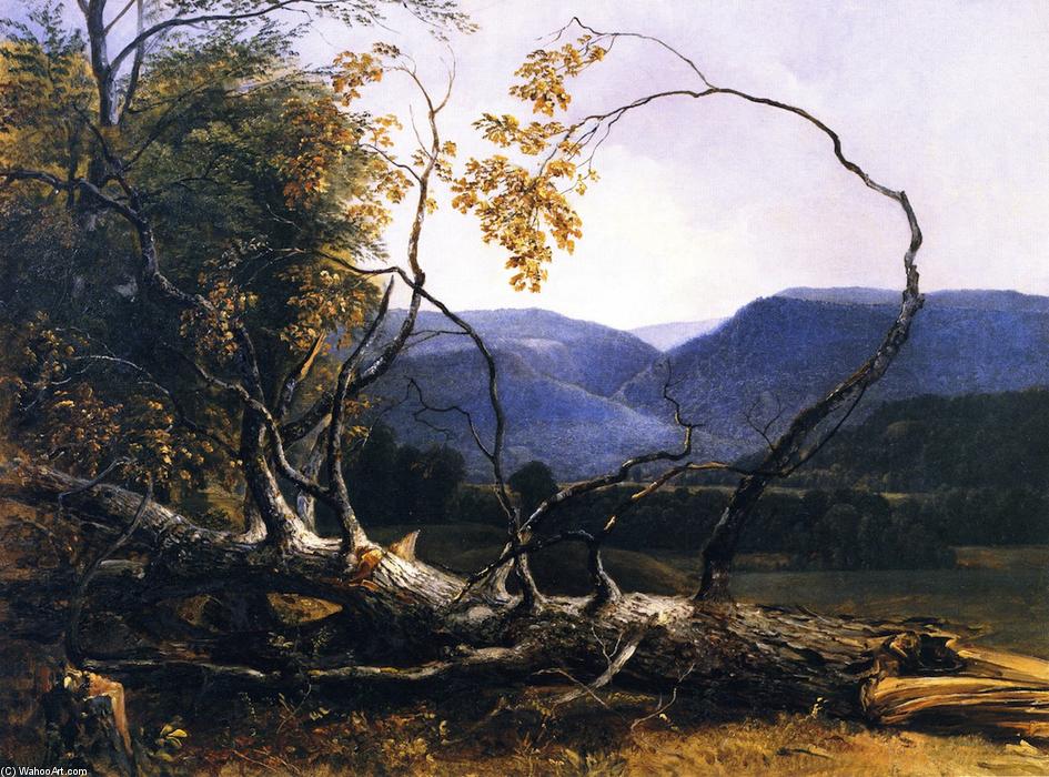 Wikioo.org - The Encyclopedia of Fine Arts - Painting, Artwork by Asher Brown Durand - Study from Nature, Stratton Notch, Vermont