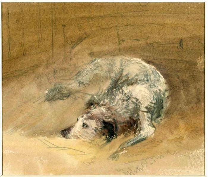 Wikioo.org – L'Encyclopédie des Beaux Arts - Peinture, Oeuvre de David Cox - étude des a chien