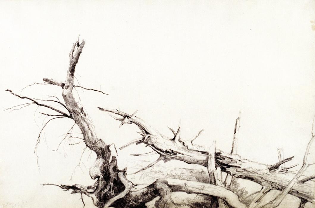 WikiOO.org - Enciklopedija likovnih umjetnosti - Slikarstvo, umjetnička djela Asher Brown Durand - Study of Fallen Tree Trunks, Bolton, Lake George, New York