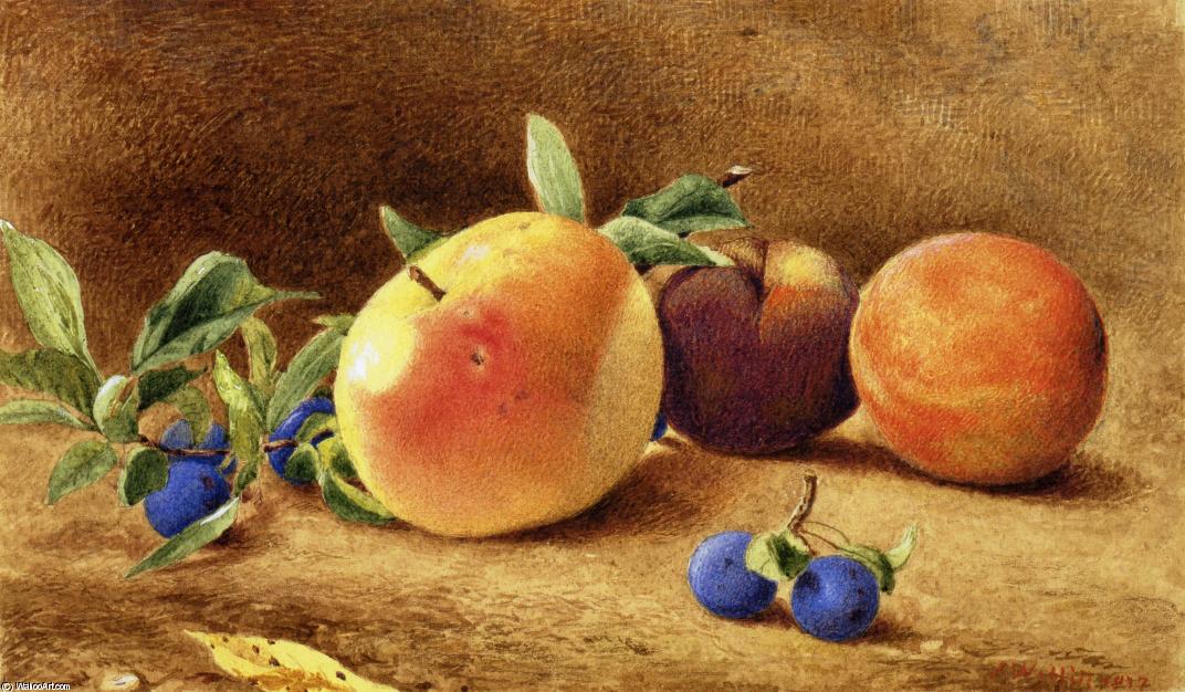 Wikioo.org - The Encyclopedia of Fine Arts - Painting, Artwork by John William Hill - Study of Fruit