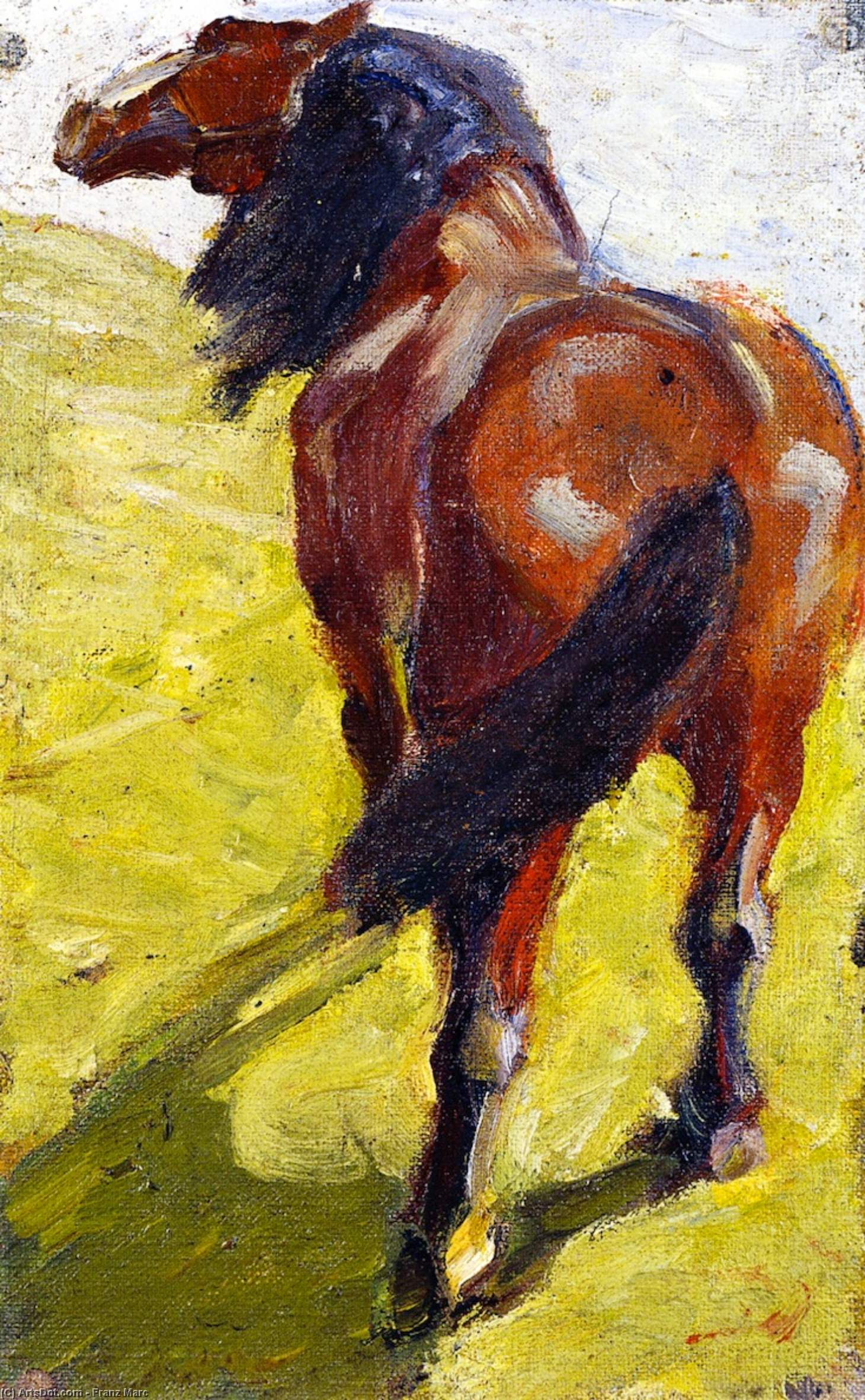 Wikioo.org - The Encyclopedia of Fine Arts - Painting, Artwork by Franz Marc - Study of a Horse