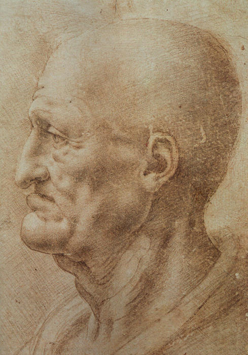 Wikioo.org – La Enciclopedia de las Bellas Artes - Pintura, Obras de arte de Leonardo Da Vinci - Estudio de un viejo Man's Perfil
