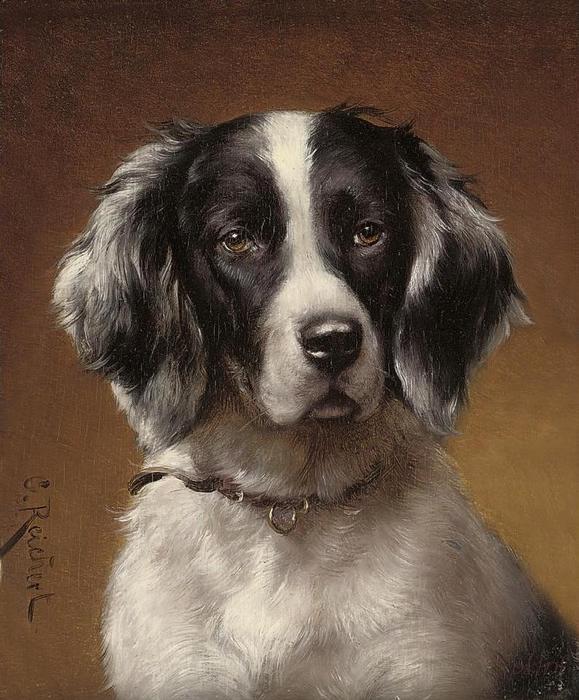 Wikioo.org - The Encyclopedia of Fine Arts - Painting, Artwork by Carl Reichert - Study of a spaniel