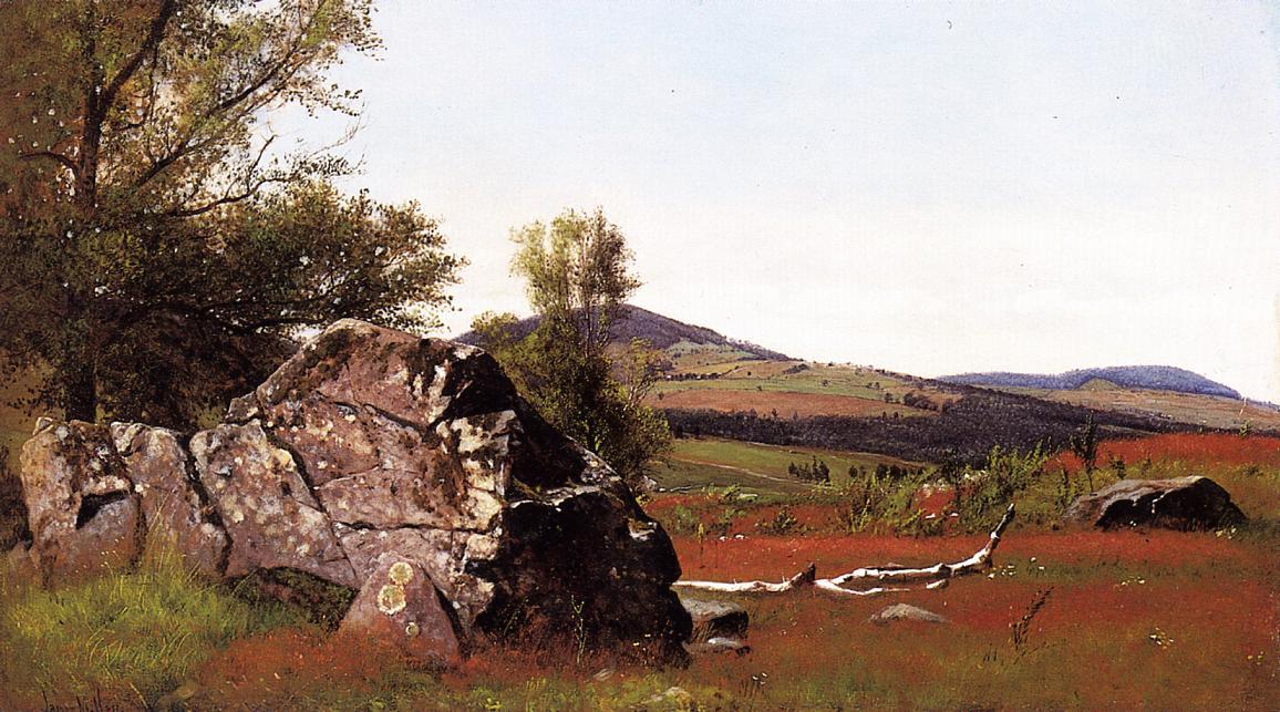 Wikioo.org - The Encyclopedia of Fine Arts - Painting, Artwork by James Mcdougal Hart - Summer in the Catskills