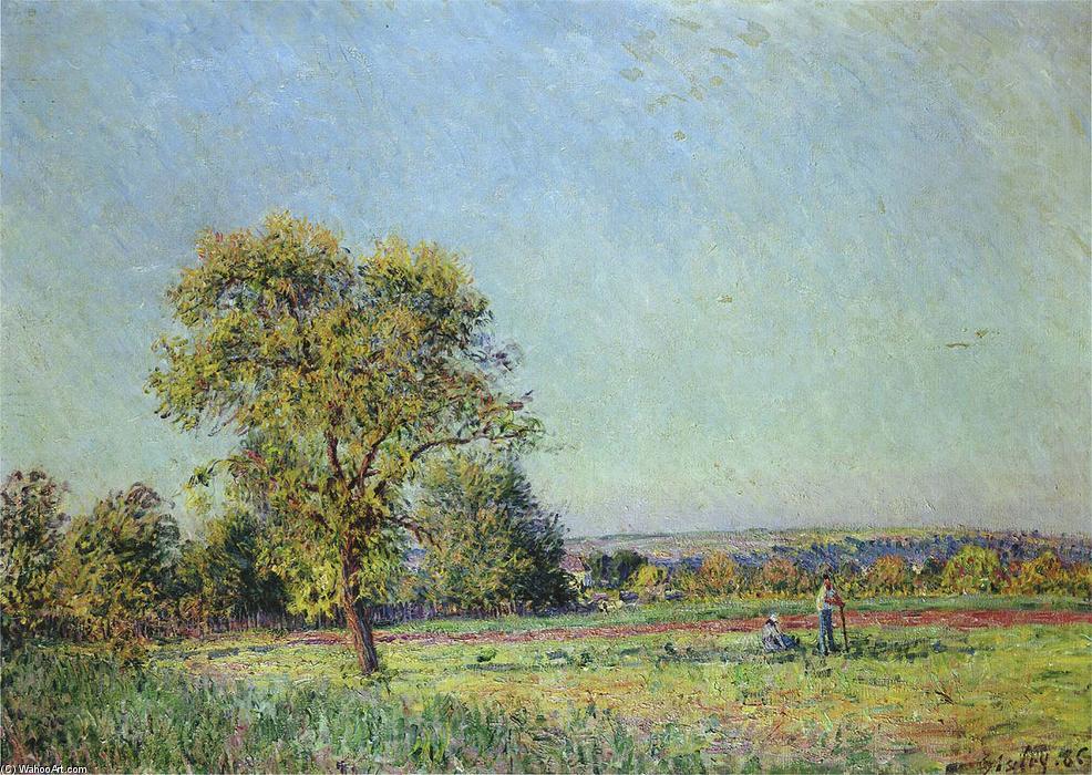 WikiOO.org - Encyclopedia of Fine Arts - Maleri, Artwork Alfred Sisley - A Summer's Day
