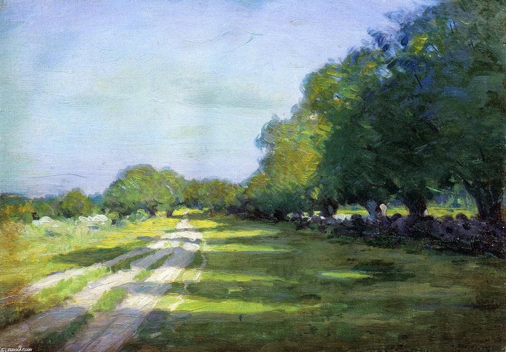 Wikioo.org - The Encyclopedia of Fine Arts - Painting, Artwork by Arthur Wesley Dow - Sun Dappled Path