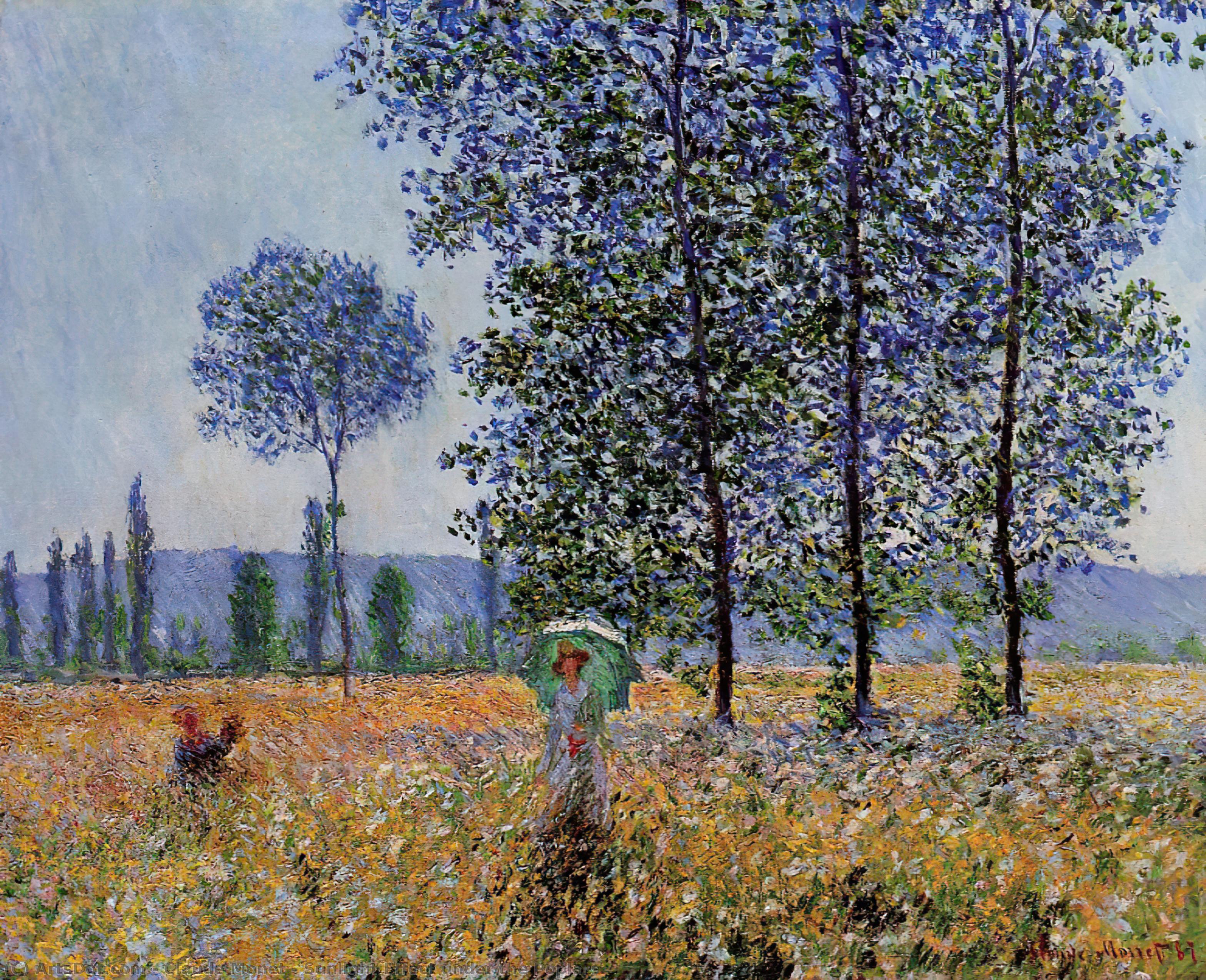 Wikioo.org – La Enciclopedia de las Bellas Artes - Pintura, Obras de arte de Claude Monet - Efecto de la luz del sol bajo  el  álamos