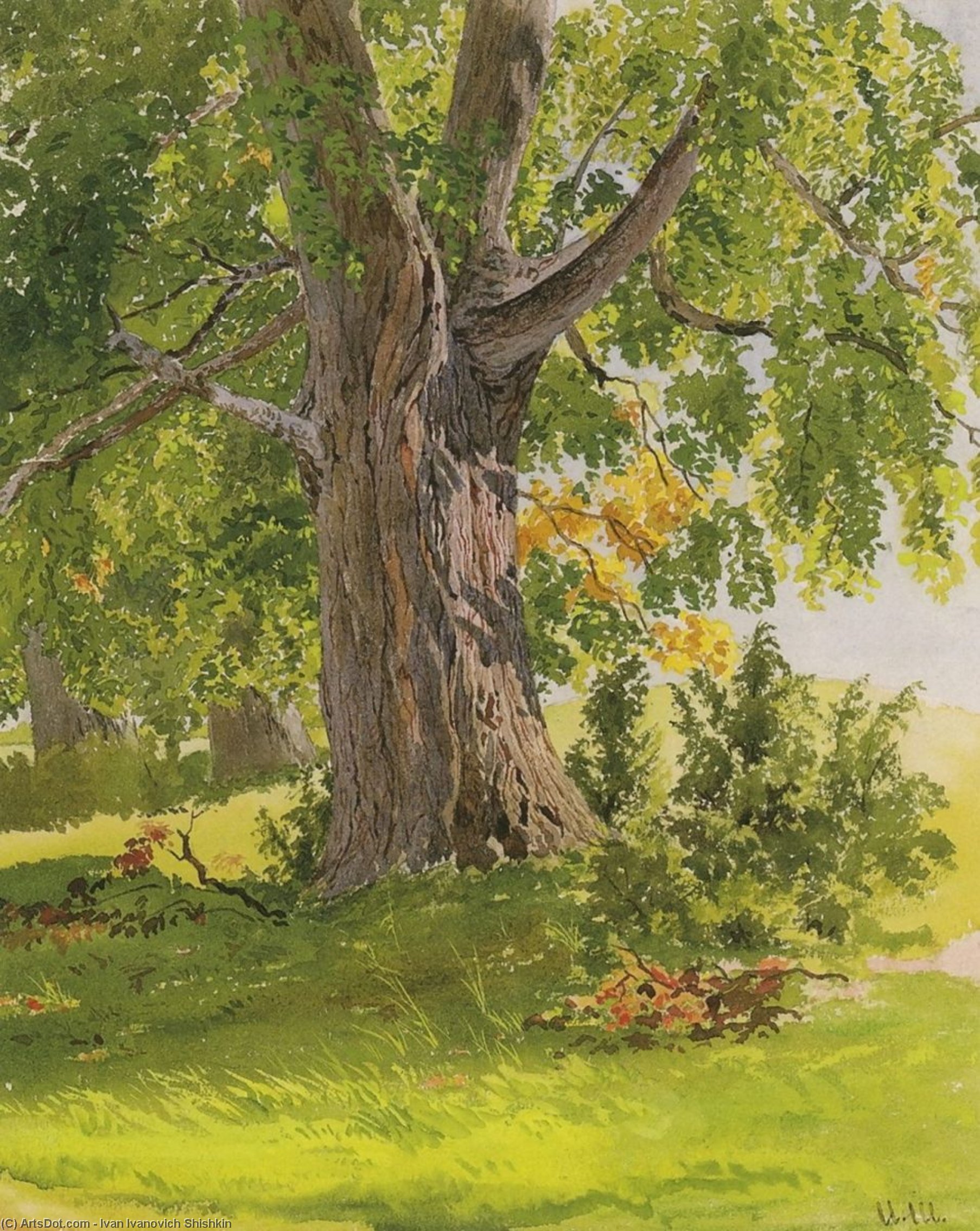 Wikioo.org – L'Encyclopédie des Beaux Arts - Peinture, Oeuvre de Ivan Ivanovich Shishkin - Ensoleillé chêne