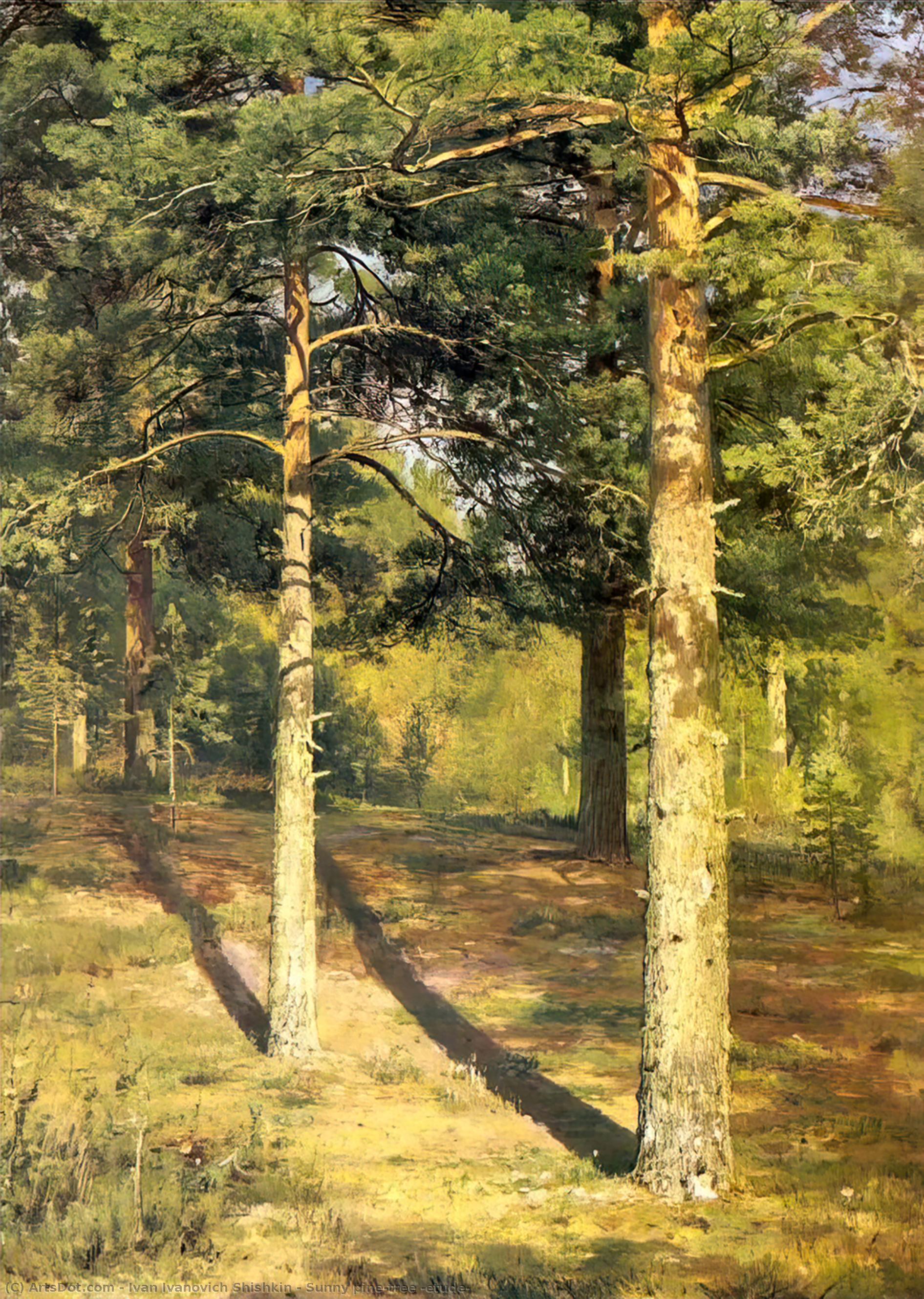 WikiOO.org - دایره المعارف هنرهای زیبا - نقاشی، آثار هنری Ivan Ivanovich Shishkin - Sunny pine-tree (etude)