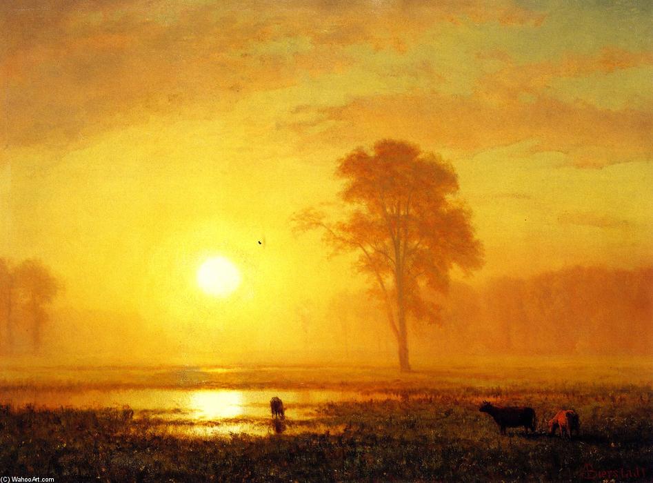 Wikioo.org - สารานุกรมวิจิตรศิลป์ - จิตรกรรม Albert Bierstadt - Sunset on the Plains