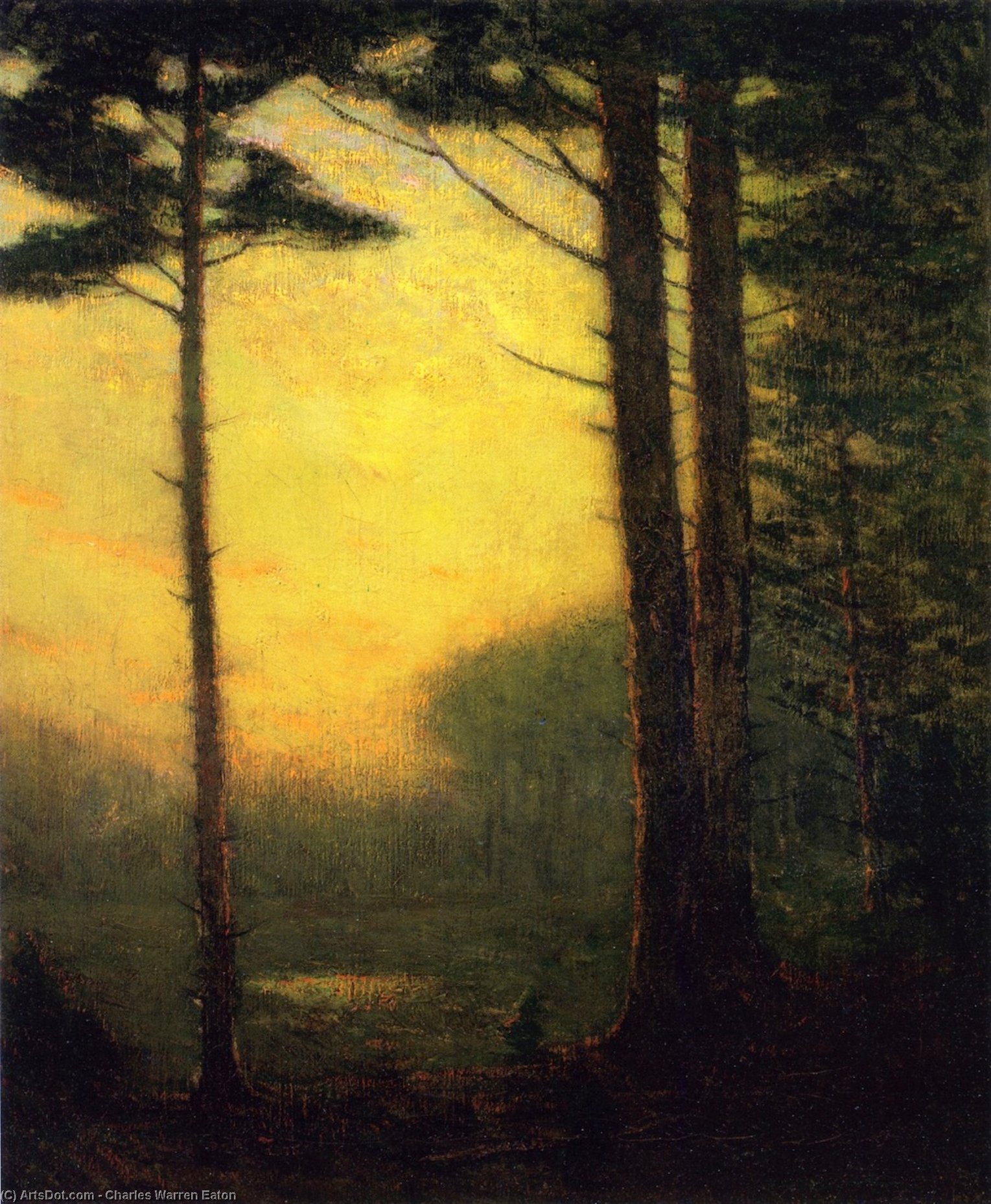 Wikioo.org - The Encyclopedia of Fine Arts - Painting, Artwork by Charles Warren Eaton - Sunset Pines