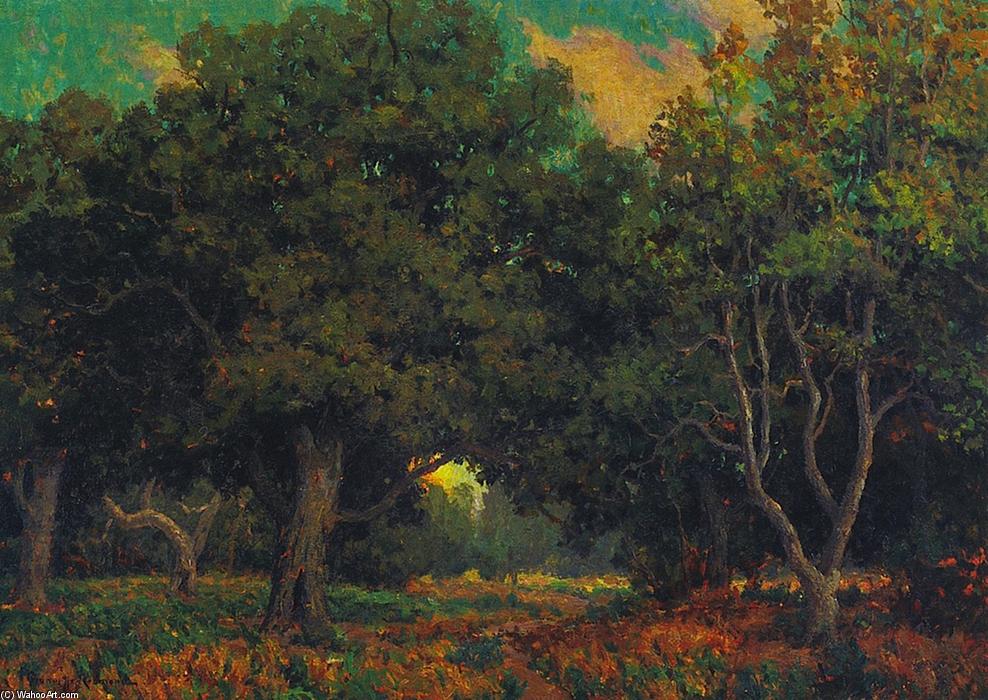 Wikioo.org - The Encyclopedia of Fine Arts - Painting, Artwork by Granville Redmond - Sunset Through the Trees