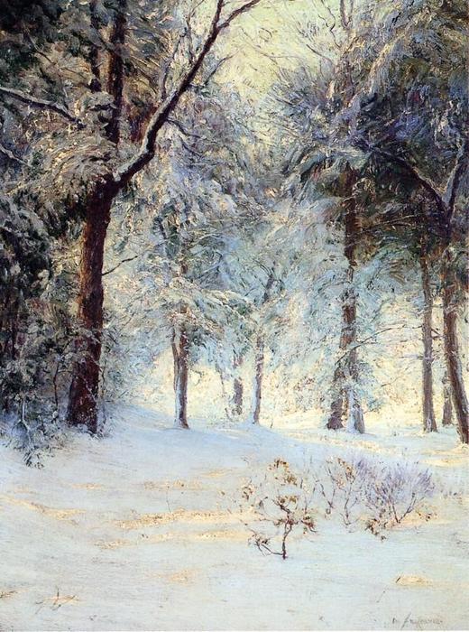 Wikioo.org - The Encyclopedia of Fine Arts - Painting, Artwork by Walter Launt Palmer - Sunshine after Snowstorm