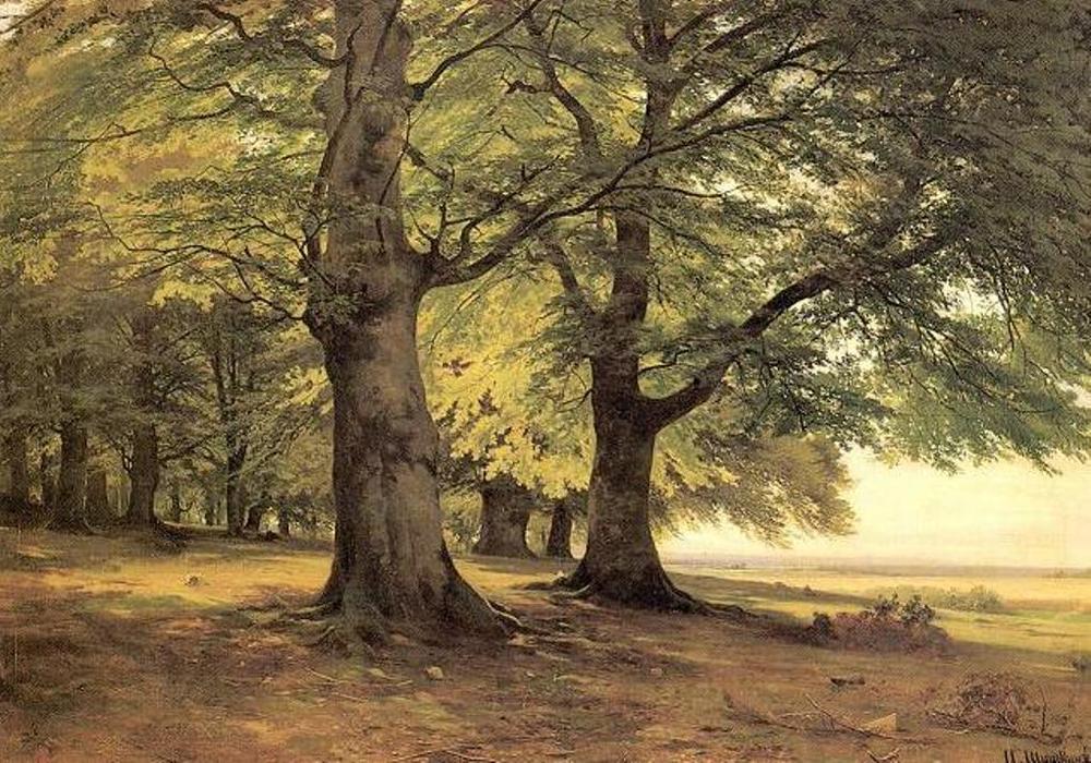 WikiOO.org - Enciklopedija likovnih umjetnosti - Slikarstvo, umjetnička djela Ivan Ivanovich Shishkin - Tevtoburgsky forest