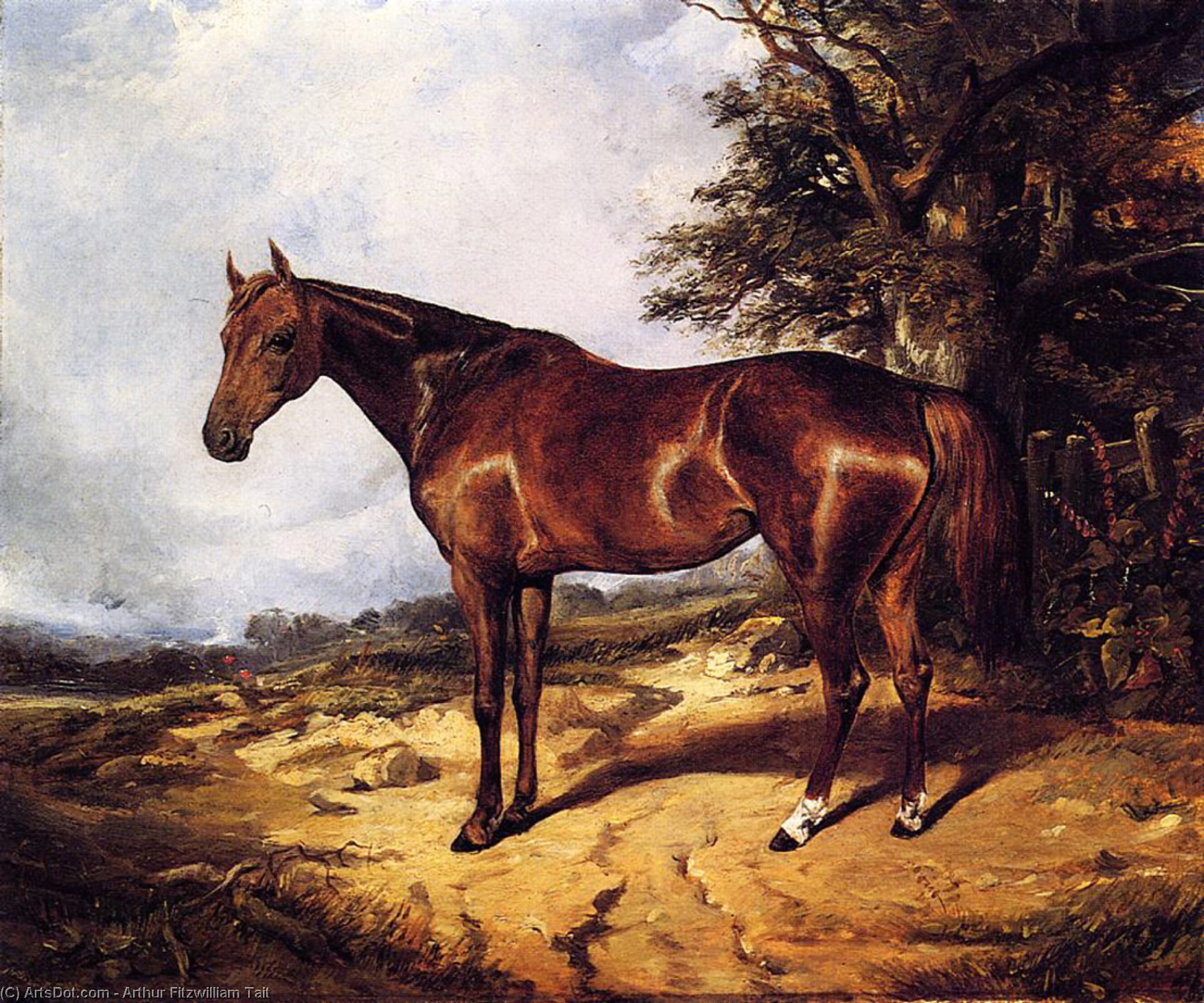 Wikioo.org - The Encyclopedia of Fine Arts - Painting, Artwork by Arthur Fitzwilliam Tait - Thoroughbred