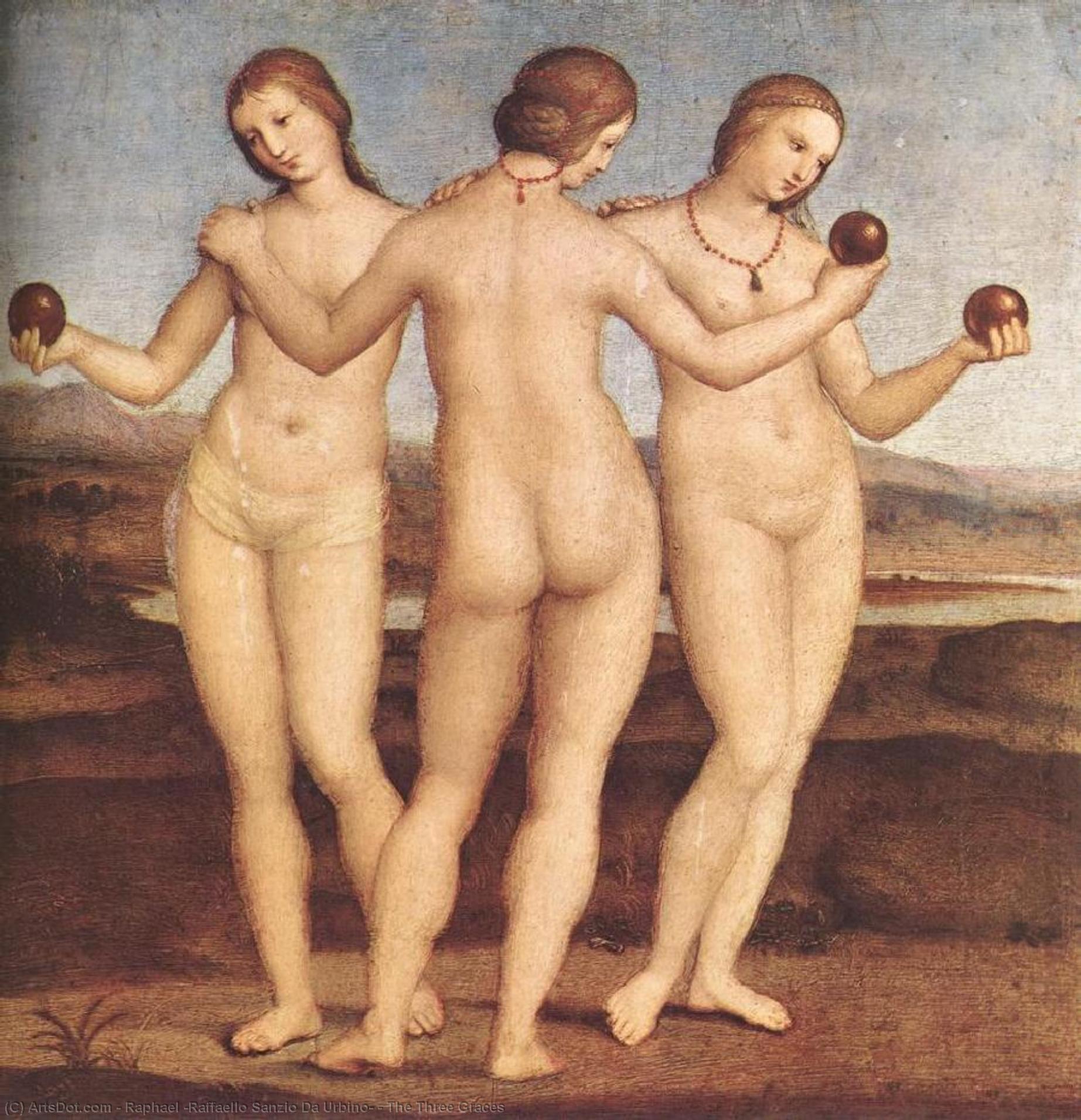 Wikioo.org - Die Enzyklopädie bildender Kunst - Malerei, Kunstwerk von Raphael (Raffaello Sanzio Da Urbino) - Die drei Grazien