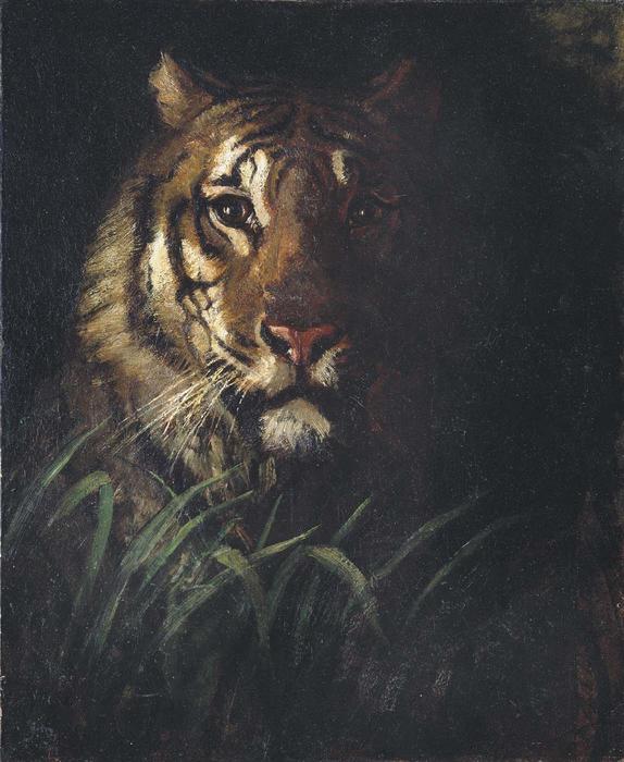 WikiOO.org - Енциклопедия за изящни изкуства - Живопис, Произведения на изкуството Abbott Handerson Thayer - Tiger's Head