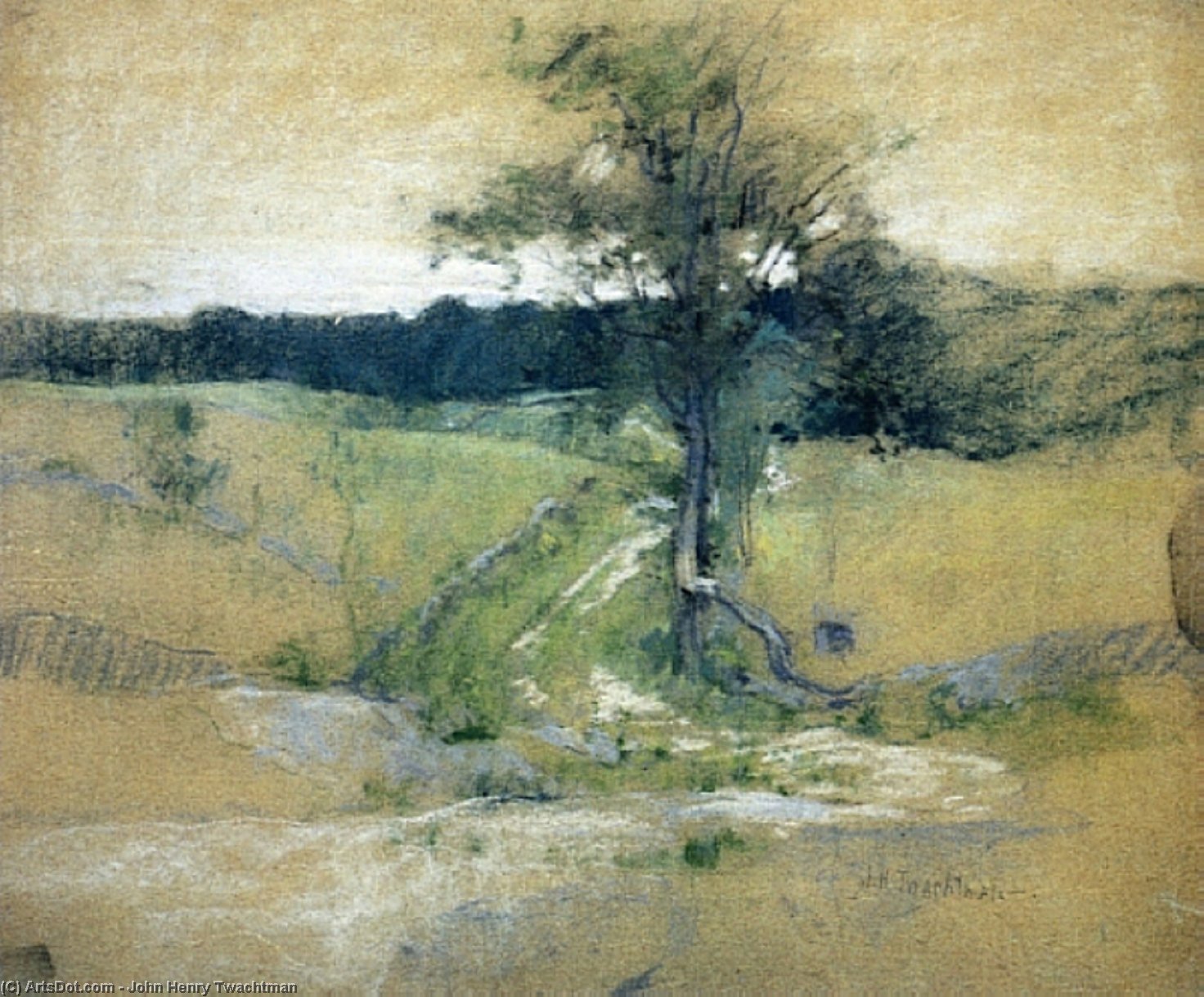 Wikioo.org - สารานุกรมวิจิตรศิลป์ - จิตรกรรม John Henry Twachtman - Tree by a Road