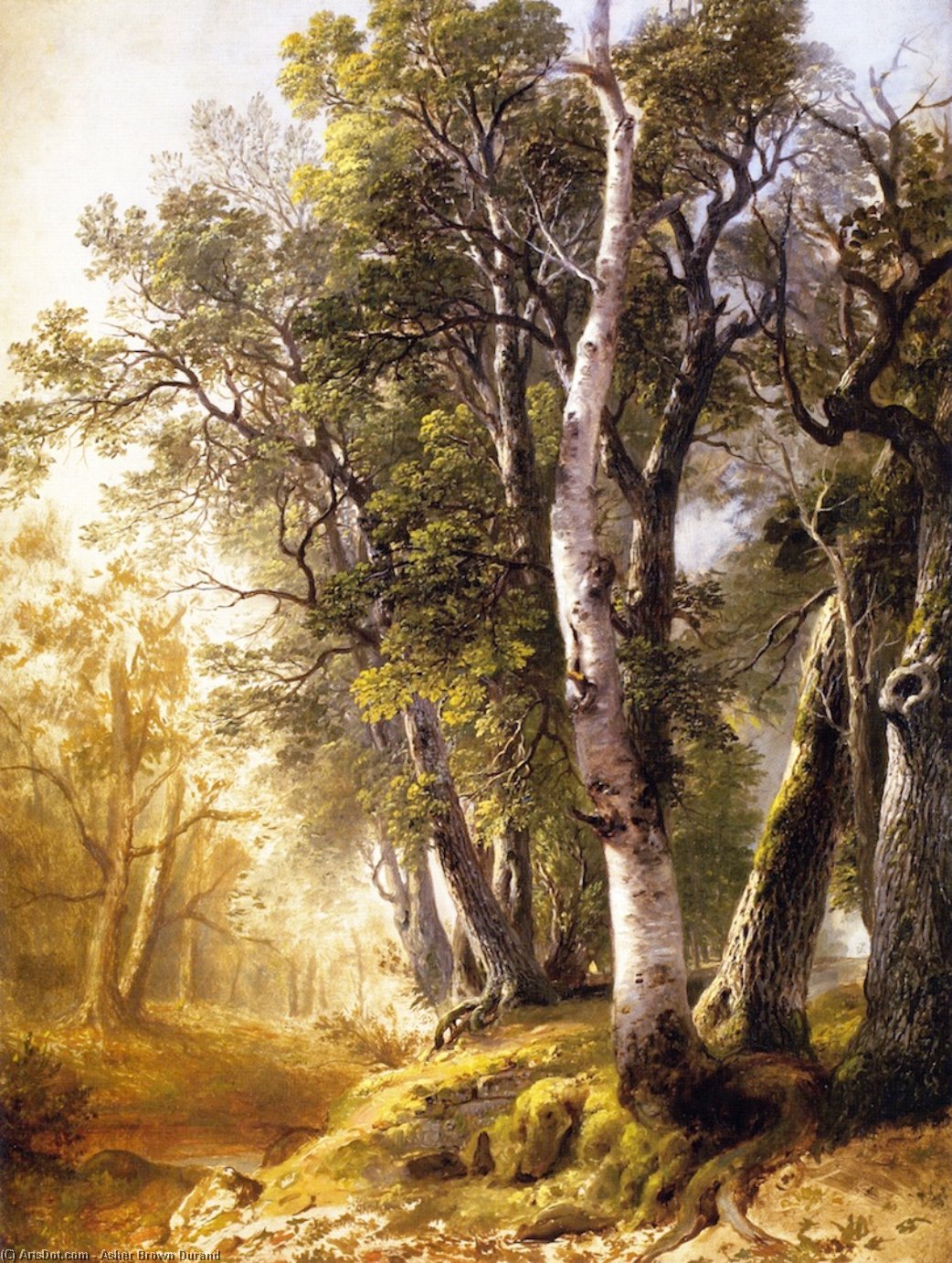 WikiOO.org - Encyclopedia of Fine Arts - Maľba, Artwork Asher Brown Durand - Trees by the Brookside, Kingston, New York