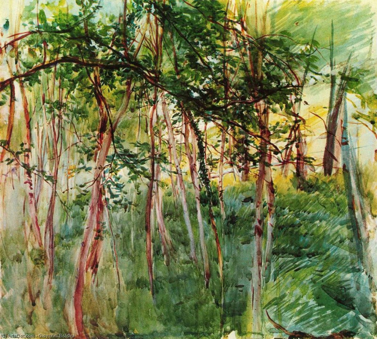 WikiOO.org - Encyclopedia of Fine Arts - Schilderen, Artwork Giovanni Boldini - Trees in the Bois de Boulogne