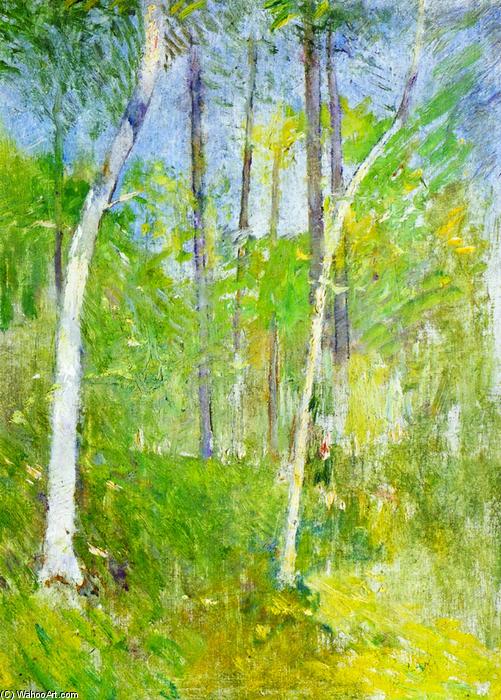 WikiOO.org - Enciclopedia of Fine Arts - Pictura, lucrări de artă Soren Emil Carlsen - Trees in Forest