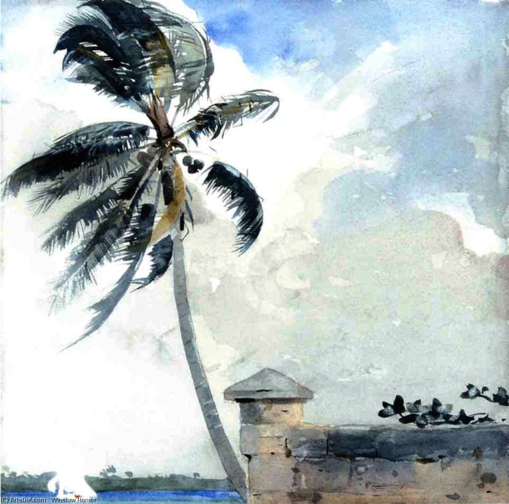 Wikioo.org - Encyklopedia Sztuk Pięknych - Malarstwo, Grafika Winslow Homer - A Tropical Breeze, Nassau