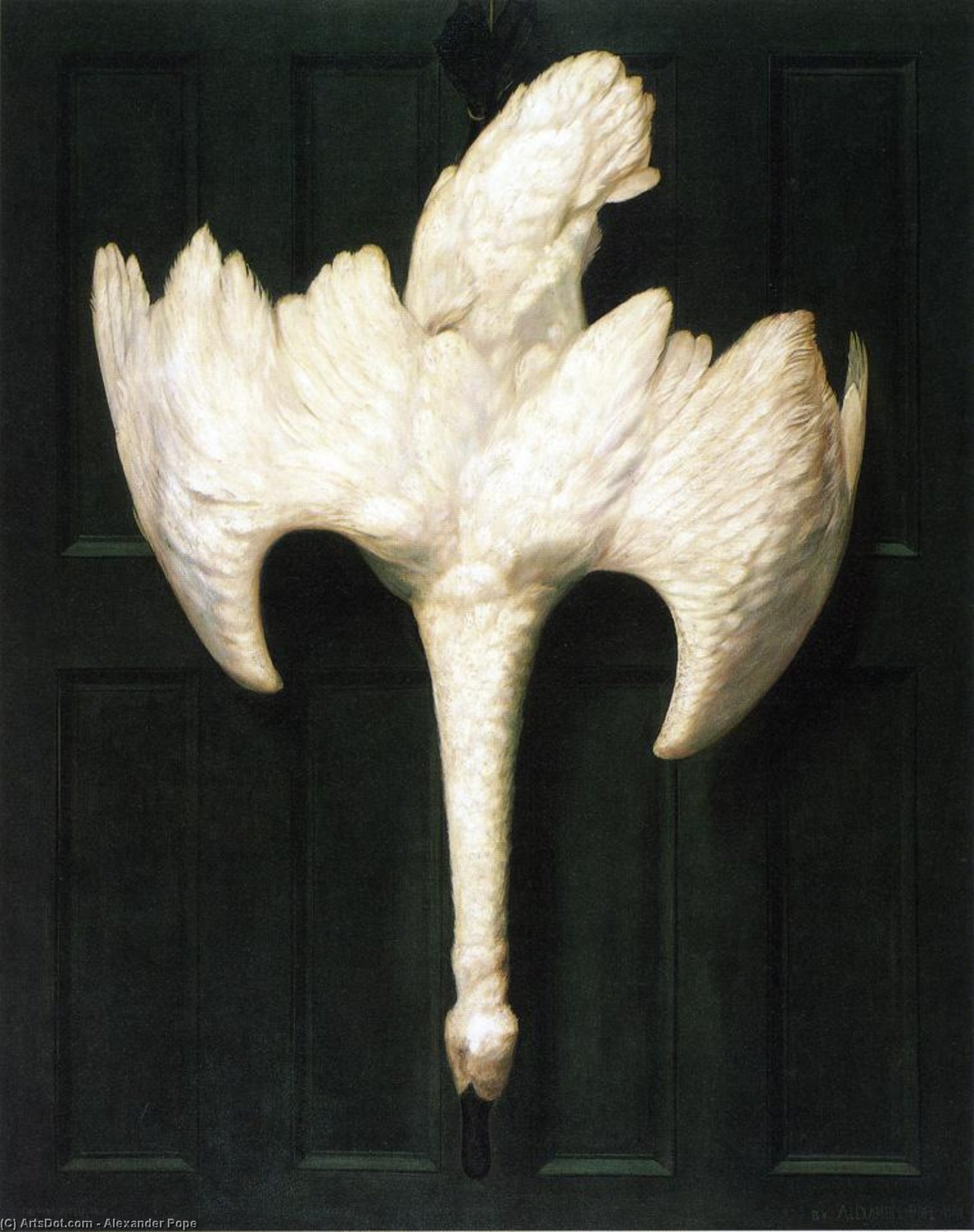 Wikioo.org - The Encyclopedia of Fine Arts - Painting, Artwork by Alexander Pope - The Trumpeter Swan