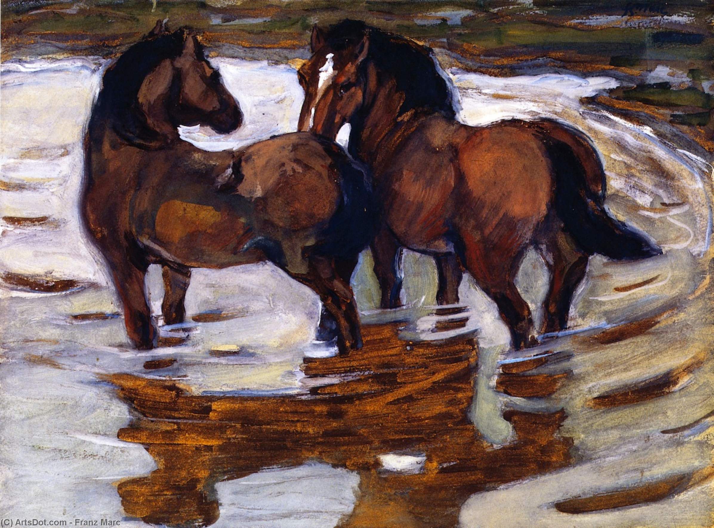 Wikioo.org – La Enciclopedia de las Bellas Artes - Pintura, Obras de arte de Franz Marc - dos caballos a  Un  riego  lugar