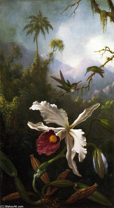 Wikioo.org - The Encyclopedia of Fine Arts - Painting, Artwork by Martin Johnson Heade - Two Hummingbirds above a White Orchid