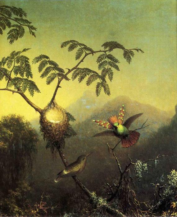 Wikioo.org - The Encyclopedia of Fine Arts - Painting, Artwork by Martin Johnson Heade - Two Hummingbirds: Tufted Coquettes