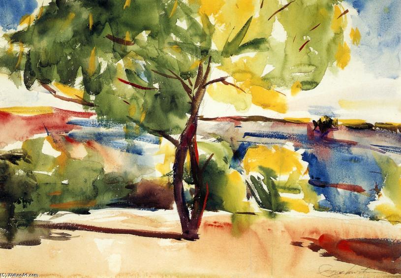 Wikioo.org - Bách khoa toàn thư về mỹ thuật - Vẽ tranh, Tác phẩm nghệ thuật Charles Webster Hawthorne - Two Mesquite Trees
