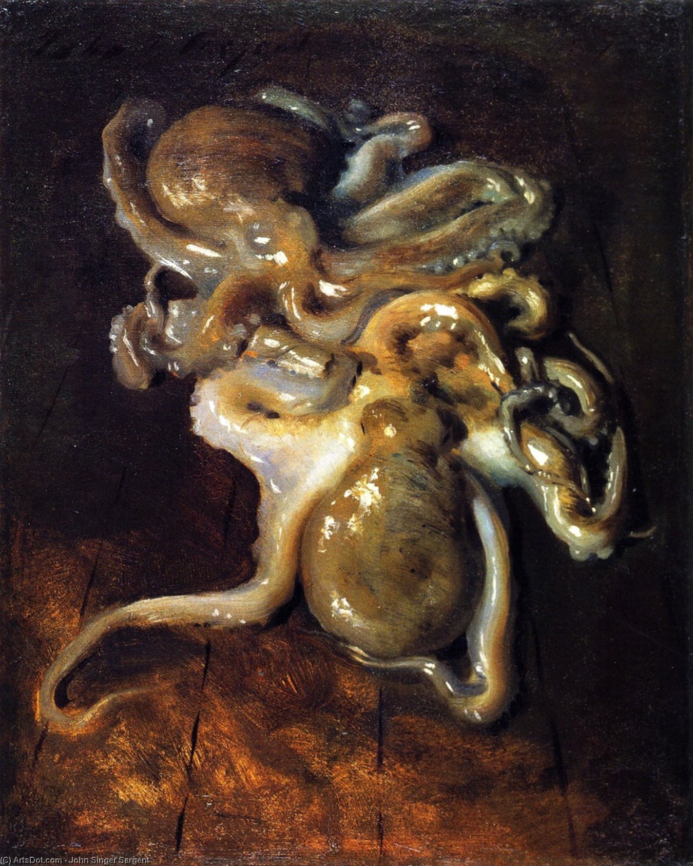 Wikioo.org - The Encyclopedia of Fine Arts - Painting, Artwork by John Singer Sargent - Two Octopi