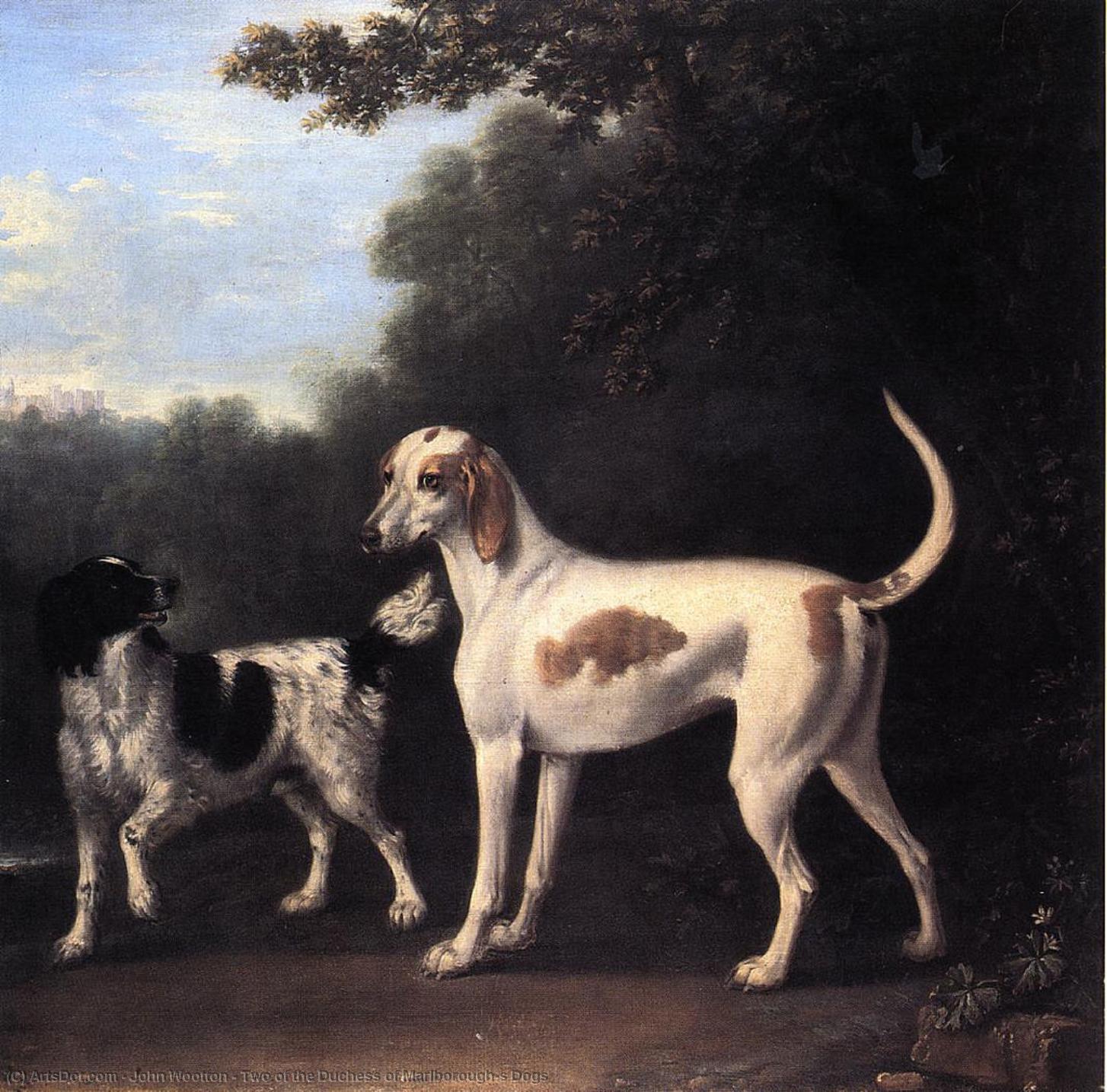 Wikioo.org - The Encyclopedia of Fine Arts - Painting, Artwork by John Wootton - Two of the Duchess of Marlborough's Dogs