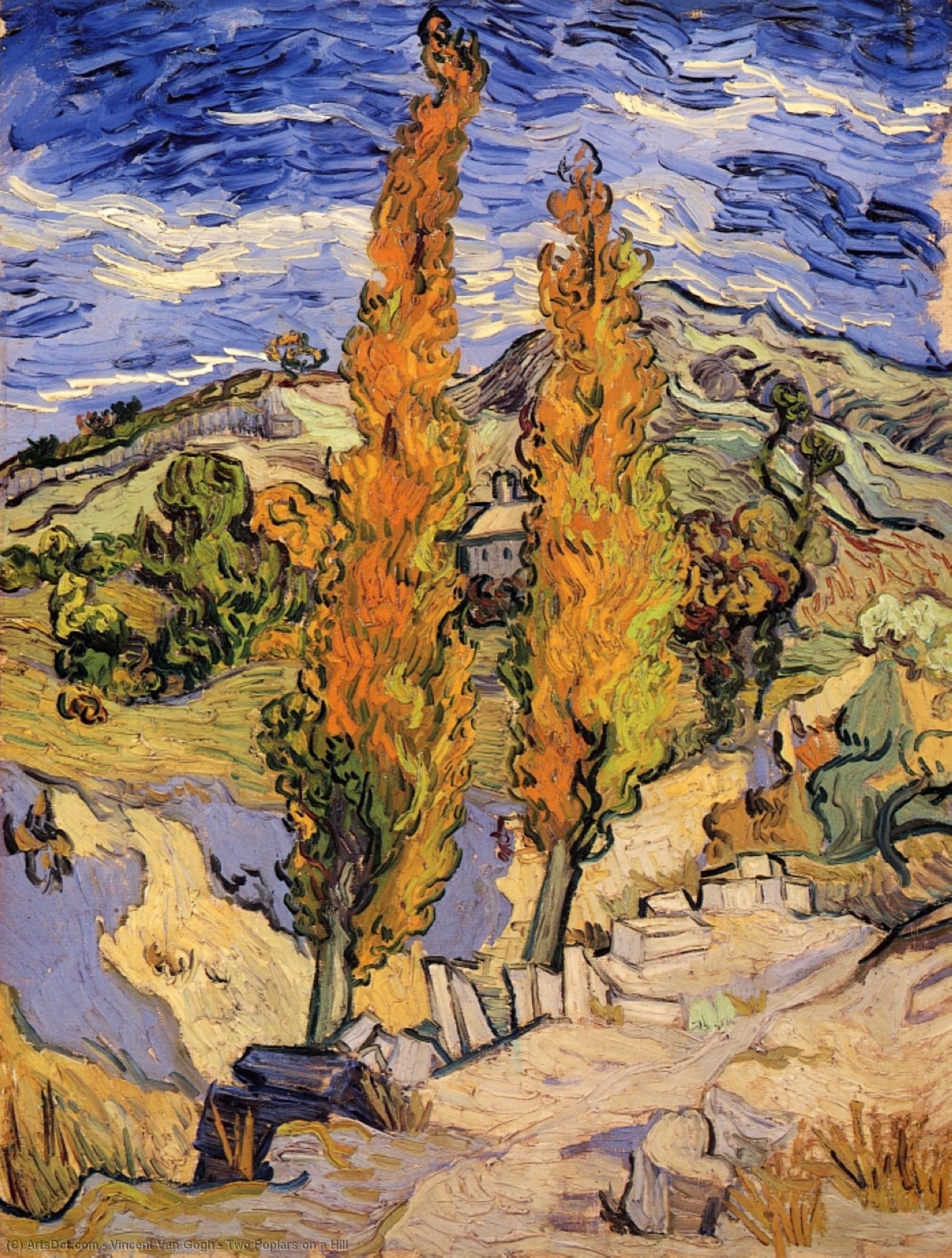Wikioo.org - The Encyclopedia of Fine Arts - Painting, Artwork by Vincent Van Gogh - Two Poplars on a Hill