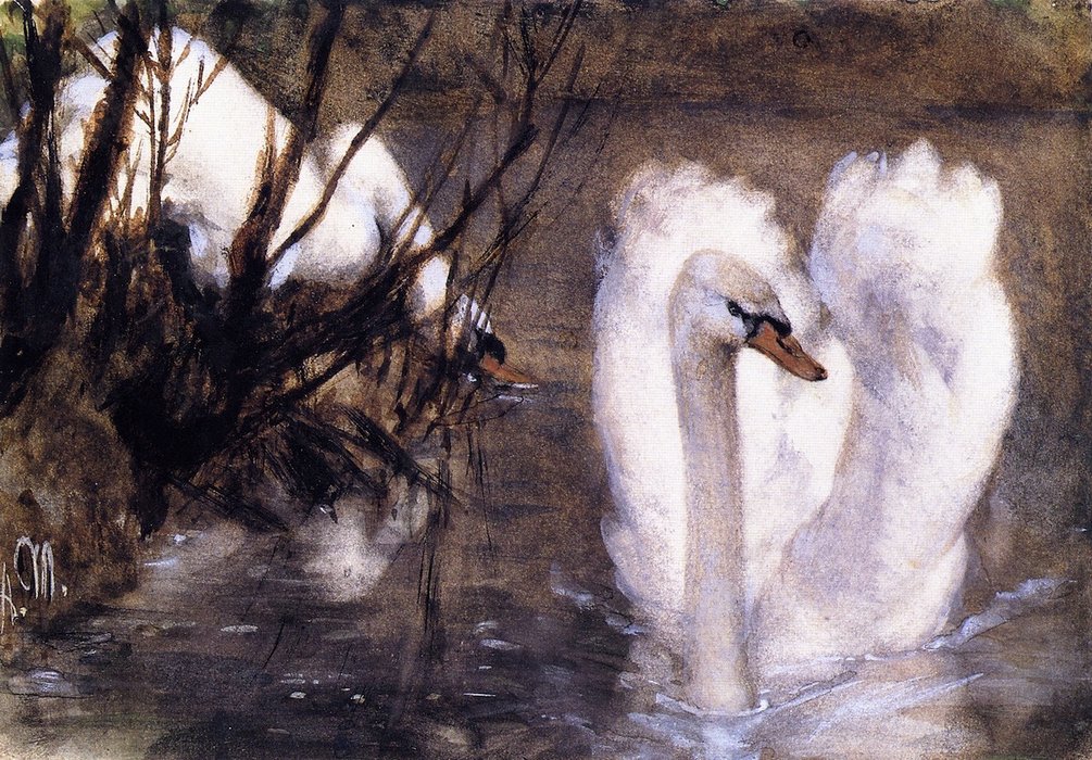 Wikoo.org - موسوعة الفنون الجميلة - اللوحة، العمل الفني Adolph Menzel - Two Swans