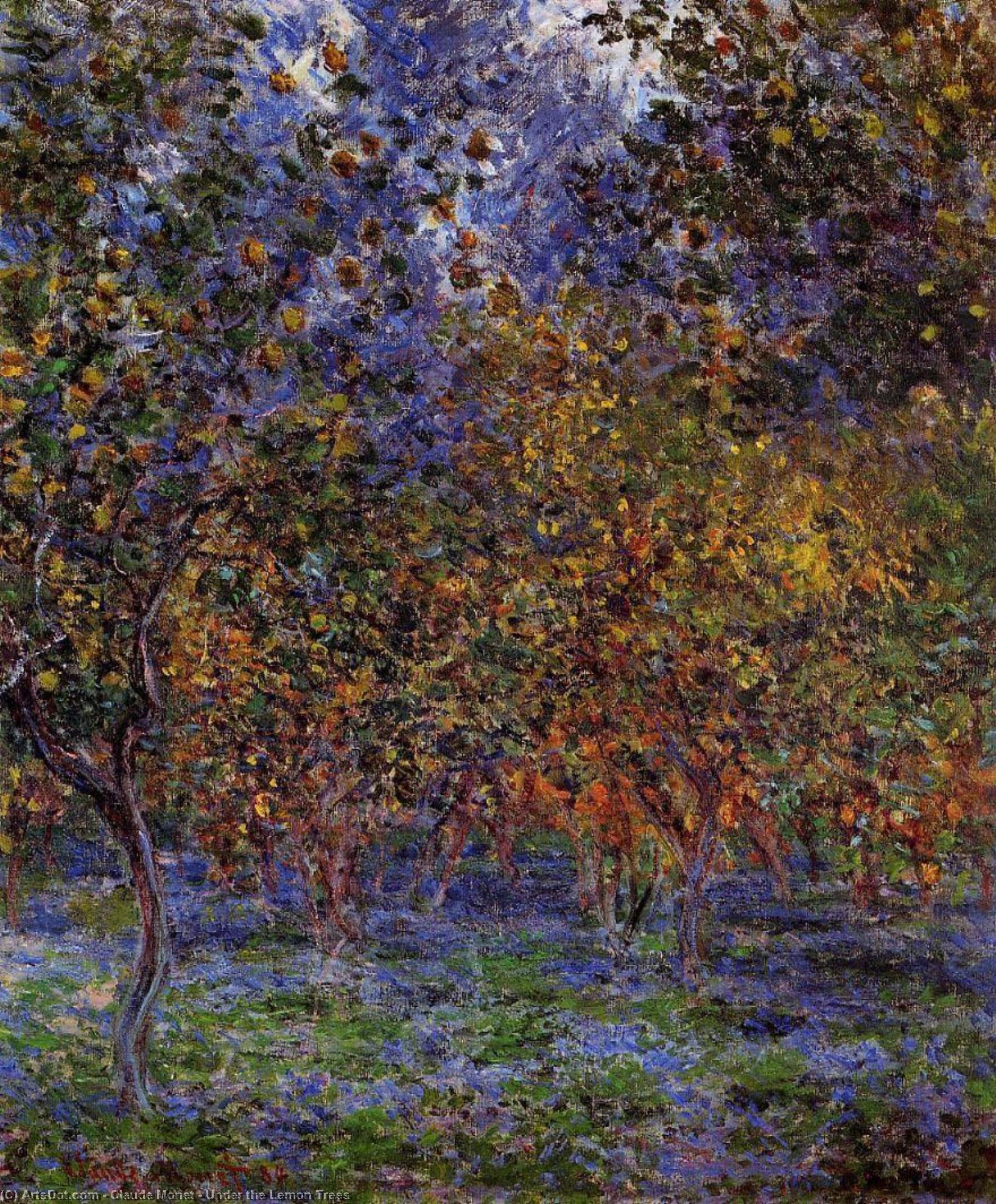 Wikioo.org - The Encyclopedia of Fine Arts - Painting, Artwork by Claude Monet - Under the Lemon Trees