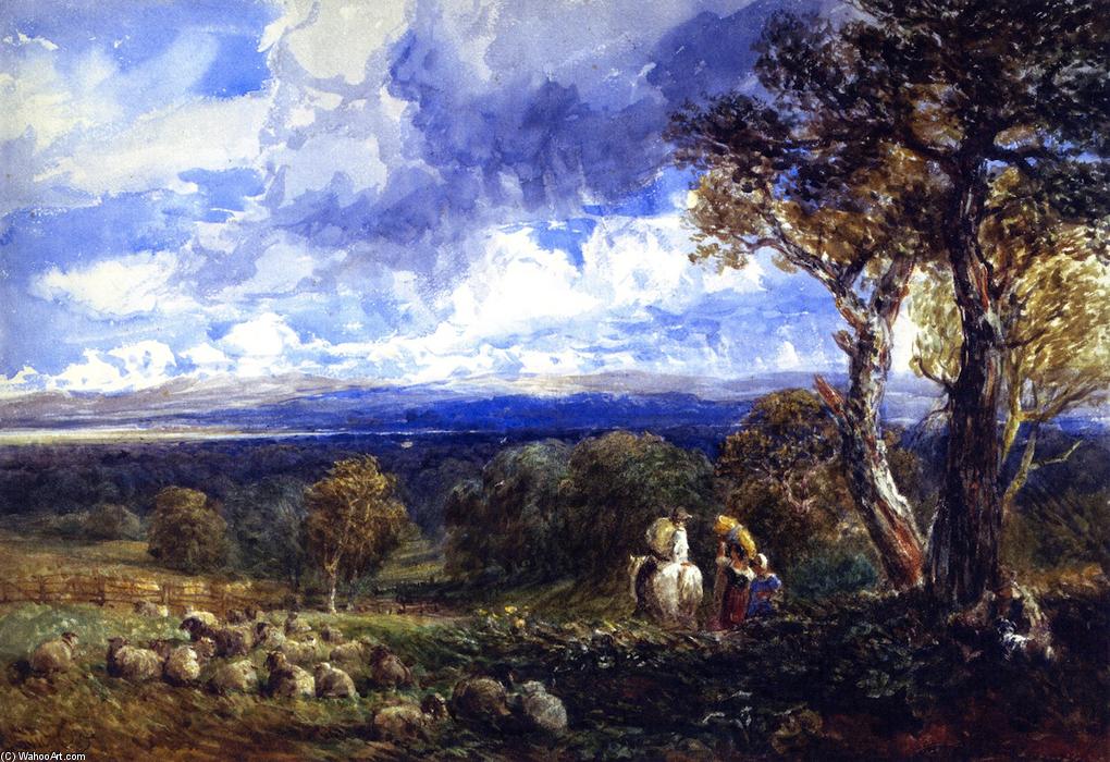 Wikioo.org - The Encyclopedia of Fine Arts - Painting, Artwork by David Cox - Vale of Clwyd