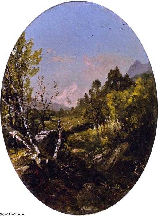 Wikioo.org - สารานุกรมวิจิตรศิลป์ - จิตรกรรม John Frederick Kensett - Valley Landscape, Trenton Falls, NY