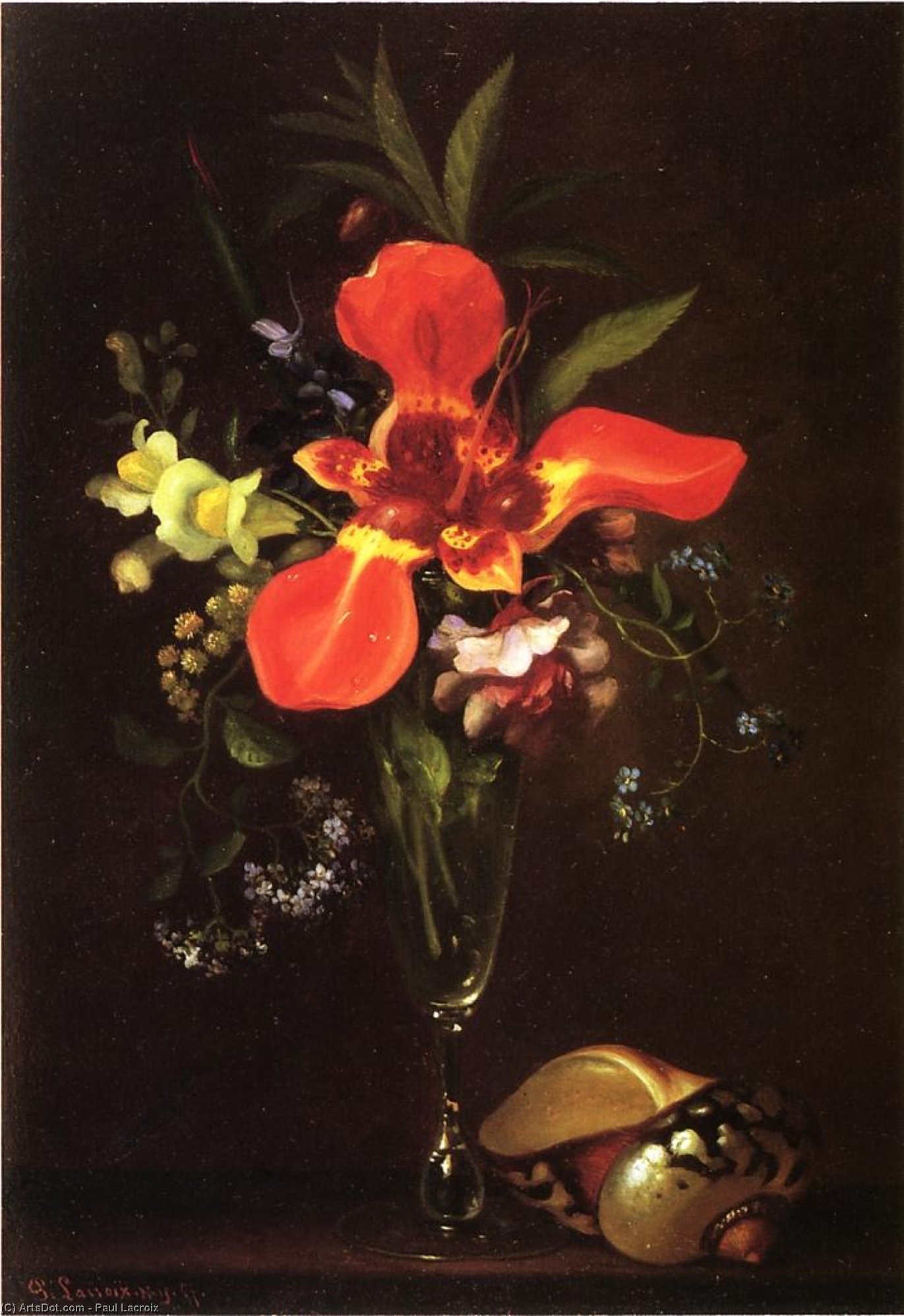 Wikioo.org - The Encyclopedia of Fine Arts - Painting, Artwork by Paul Lacroix - Vase of Flowers and a Shell