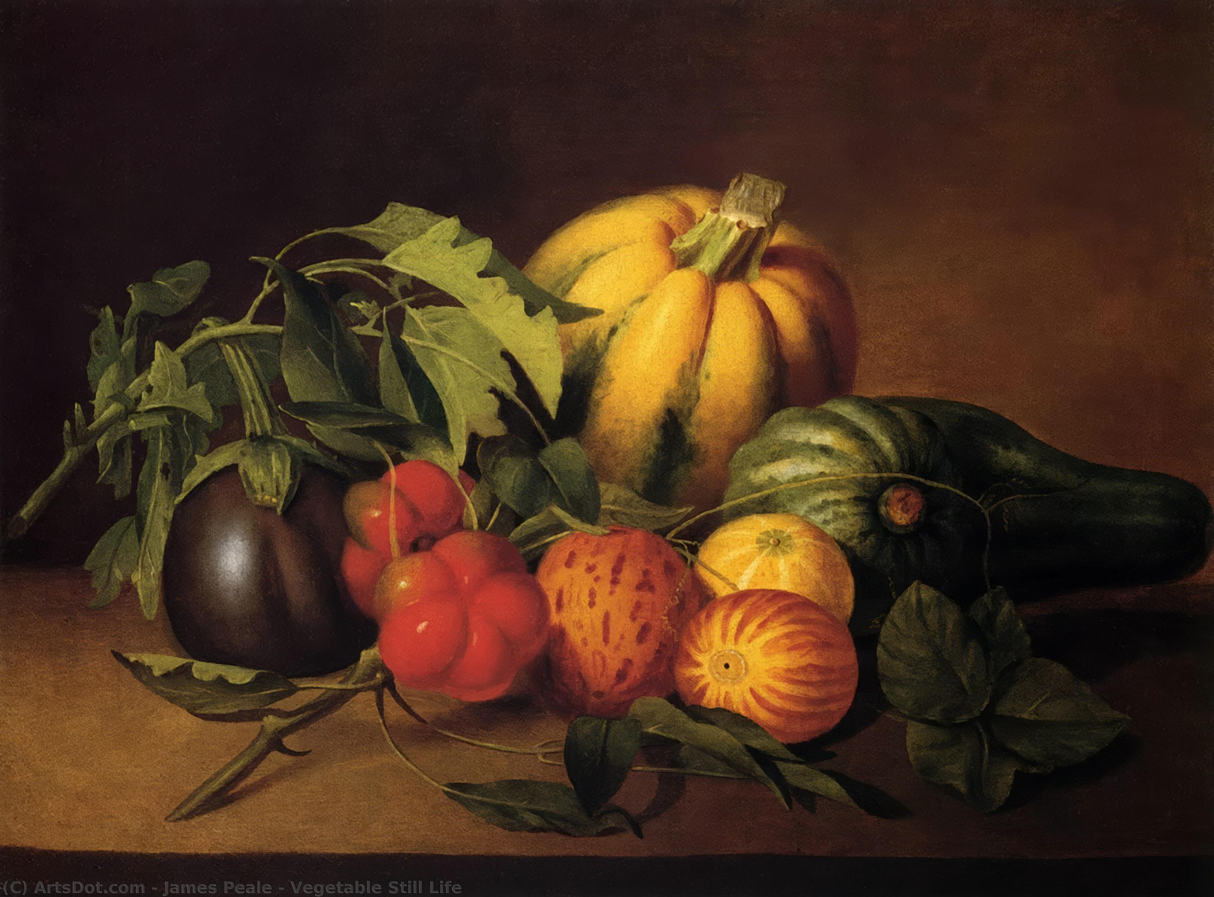 Wikioo.org - The Encyclopedia of Fine Arts - Painting, Artwork by James Peale - Vegetable Still Life