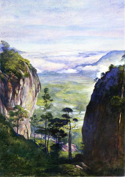 Wikioo.org - The Encyclopedia of Fine Arts - Painting, Artwork by John La Farge - View in Ceylon, near Dambula, Looking over Rice Fields